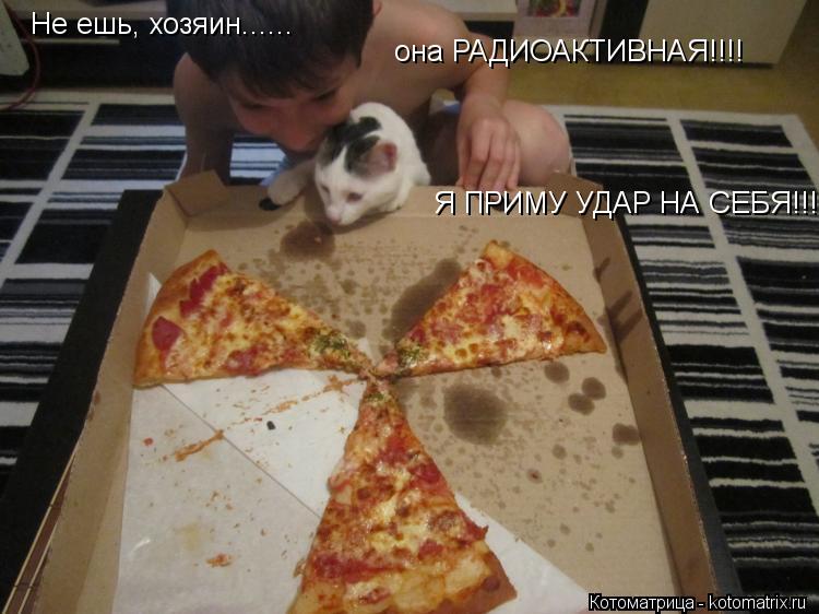 Не ешь, хозяин...... она РАДИОАКТИВНАЯ!!!! Я ПРИМУ УДАР НА СЕБЯ!!!!... Котоматрица: Не ешь, хозяин...... она РАДИОАКТИВНАЯ!!!! Я ПРИМУ УДАР НА СЕБЯ!!!!