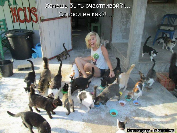 Хочешь быть счастливой?!... Спроси ее как?!...... Котоматрица: Хочешь быть счастливой?!... Спроси ее как?!...