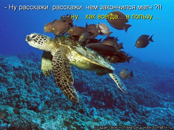 - Ну расскажи, расскажи, чем закончился матч ?!! - - ну... как всегда... в пользу ....... Котоматрица: - Ну расскажи, расскажи, чем закончился матч ?!! - - ну... как всегда... в пользу ....