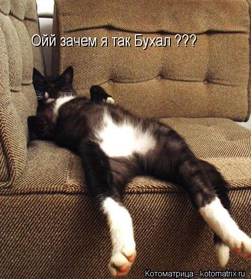 Ойй зачем я так Бухал ???... Котоматрица: Ойй зачем я так Бухал ???