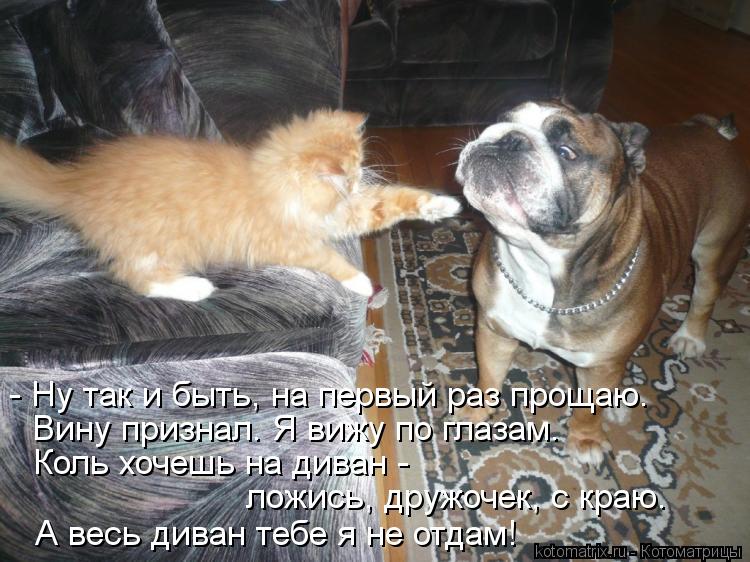 http://kotomatrix.ru/images/lolz/2013/05/22/kotomatritsa_DV.jpg