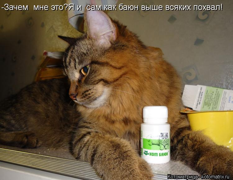 Котоматрица: -Зачем  мне это?Я и  сам как баюн выше всяких похвал!
