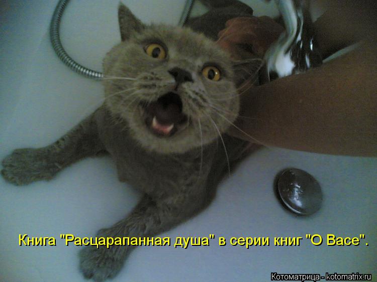 Книга "Расцарапанная душа" в серии книг "О Васе".... Котоматрица: Книга "Расцарапанная душа" в серии книг "О Васе".