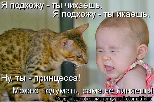 Я подхожу - ты чихаешь. Я подхожу - ты икаешь. Ну, ты - принцесса! Можно подумать, сама не линяешь!... Котоматрица: Я подхожу - ты чихаешь. Я подхожу - ты икаешь. Ну, ты - принцесса! Можно подумать, сама не линяешь!