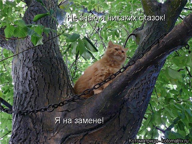 Не знаю я никаких сказок! Я на замене!... Котоматрица: Не знаю я никаких сказок! Я на замене!