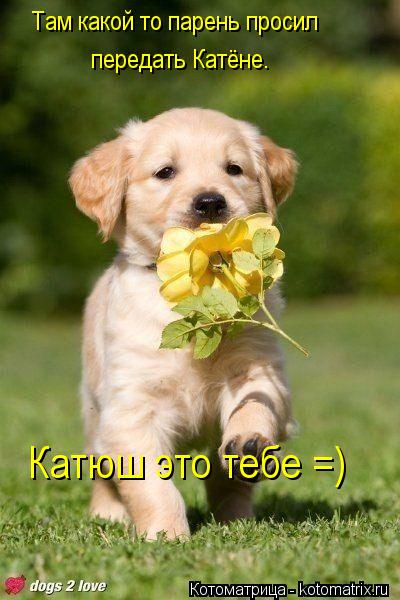Котоматрица: Там какой то парень просил передать Катёне. Катюш это тебе =)