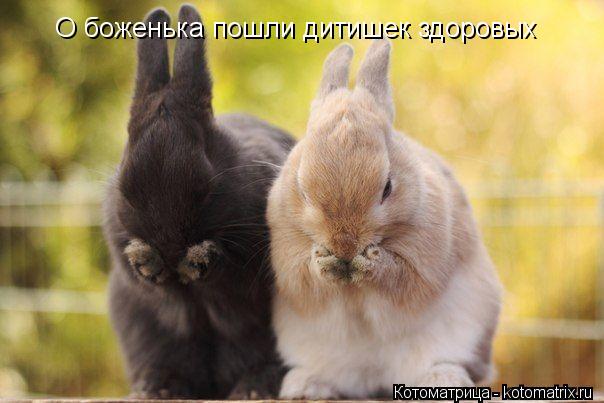 О боженька пошли дитишек здоровых... Котоматрица: О боженька пошли дитишек здоровых