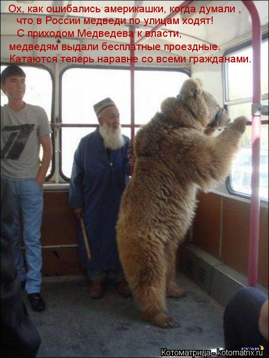 Ох, как ошибались америкашки, когда думали , что в России медведи по улицам ходят! С приходом Мед... Котоматрица: Ох, как ошибались америкашки, когда думали , что в России медведи по улицам ходят! С приходом Медведева к власти, медведям выдали бесплатн