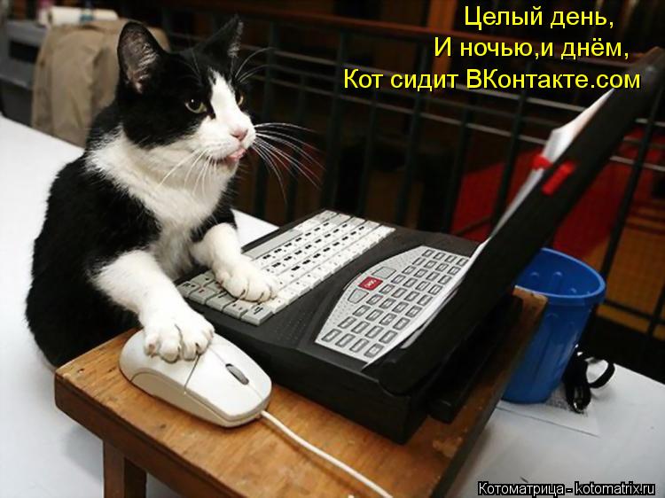 Котоматрица: Целый день, И ночью,и днём, Кот сидит ВКонтакте.сом