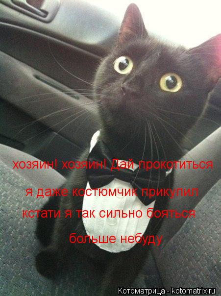 хозяин! хозяин! Дай прокотиться я даже костюмчик прикупил кстати я так сильно бояться больше небуду... Котоматрица: хозяин! хозяин! Дай прокотиться я даже костюмчик прикупил кстати я так сильно бояться больше небуду