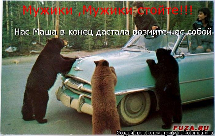 Мужики ,Мужики стойте!!! Нас Маша в конец дастала возмите нас собой... Котоматрица: Мужики ,Мужики стойте!!! Нас Маша в конец дастала возмите нас собой