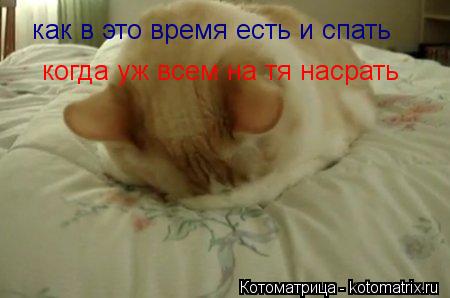 как в это время есть и спать когда уж всем на тя насрать... Котоматрица: как в это время есть и спать когда уж всем на тя насрать