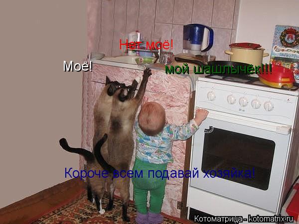 Котоматрица: Моё! Нет моё! мой шашлычёк!!! Короче всем подавай хозяйка!