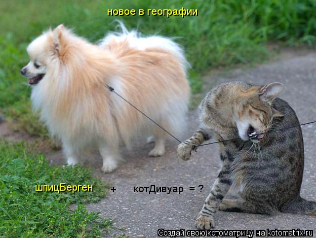 шпицБерген котДивуар + = ? новое в географии... Котоматрица: шпицБерген котДивуар + = ? новое в географии