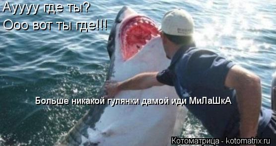 Котоматрица: Ауууу где ты? Больше никакой гулянки дамой иди МиЛаШкА Ооо вот ты где!!!