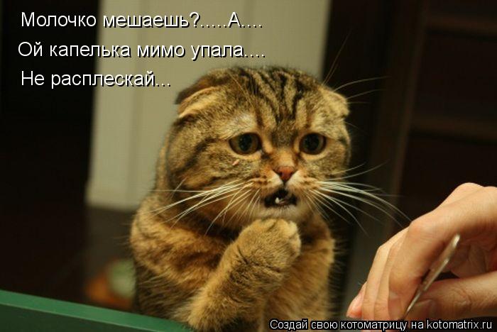 Котоматрица: Молочко мешаешь?.....А.... Ой капелька мимо упала.... Не расплескай...
