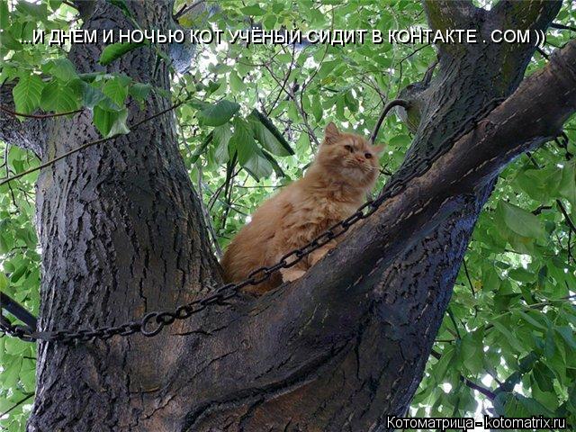 ...И ДНЁМ И НОЧЬЮ КОТ УЧЁНЫЙ СИДИТ В КОНТАКТЕ . COM ))... Котоматрица: ...И ДНЁМ И НОЧЬЮ КОТ УЧЁНЫЙ СИДИТ В КОНТАКТЕ . COM ))