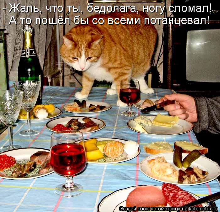 Котоматрица: - Жаль, что ты, бедолага, ногу сломал!  А то пошёл бы со всеми потанцевал!