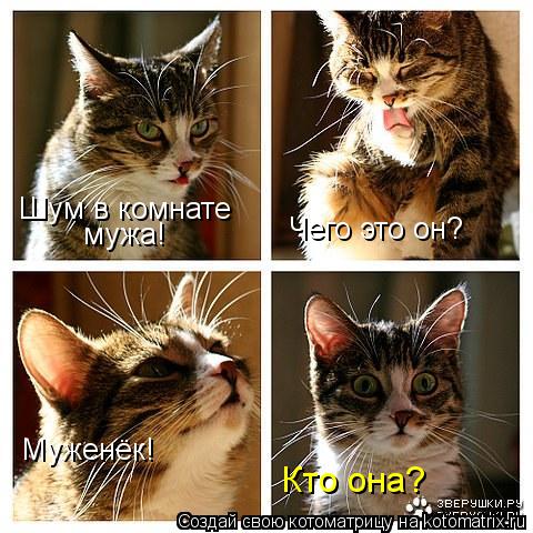 Шум в комнате мужа! Чего это он? Муженёк! Кто она?... Котоматрица: Шум в комнате мужа! Чего это он? Муженёк! Кто она?