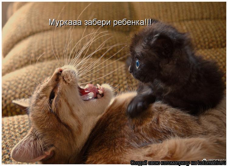 Муркааа забери ребенка!!!... Котоматрица: Муркааа забери ребенка!!!