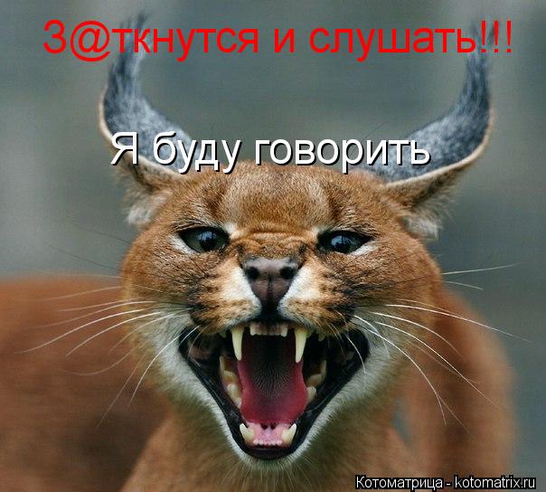 З@ткнутся и слушать!!! Я буду говорить... Котоматрица: З@ткнутся и слушать!!! Я буду говорить