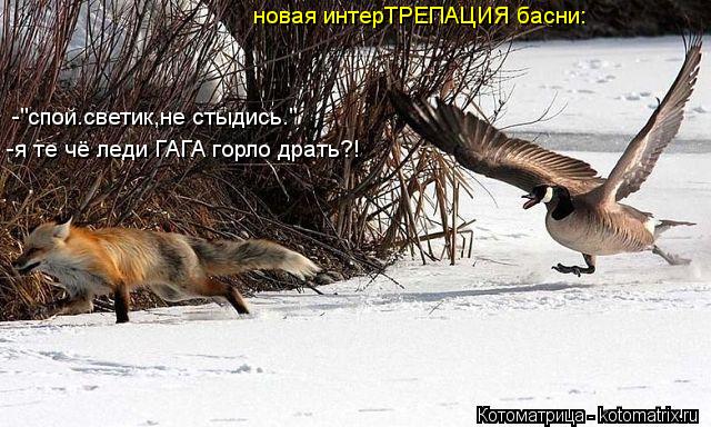 новая интерТРЕПАЦИЯ басни: -"спой.светик,не стыдись." -я те чё леди ГАГА горло драть?!... Котоматрица: новая интерТРЕПАЦИЯ басни: -"спой.светик,не стыдись." -я те чё леди ГАГА горло драть?!