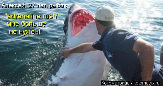 "adrenaline rush" Алексей, 27 лет, рыбак: мне больше не нужен!... Котоматрица: "adrenaline rush" Алексей, 27 лет, рыбак: мне больше не нужен!