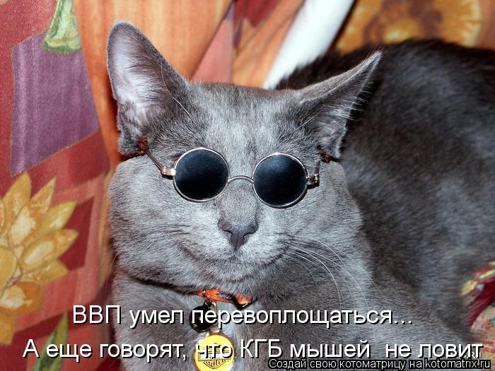 ВВП умел перевоплощаться... А еще говорят, что КГБ мышей не ловит... Котоматрица: ВВП умел перевоплощаться... А еще говорят, что КГБ мышей не ловит