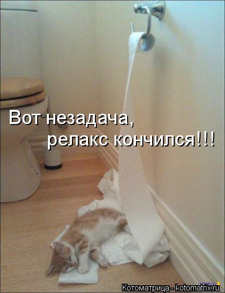 Вот незадача, релакс кончился!!!... Котоматрица: Вот незадача, релакс кончился!!!