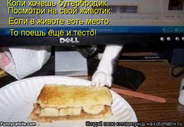 Коли хочешь бутербродик, Посмотри на свой животик: Если в животе есть место, То поешь ещё и тесто!... Котоматрица: Коли хочешь бутербродик, Посмотри на свой животик: Если в животе есть место, То поешь ещё и тесто!