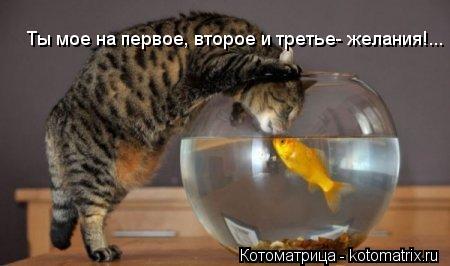 Ты мое на первое, второе и третье- желания!...... Котоматрица: Ты мое на первое, второе и третье- желания!...