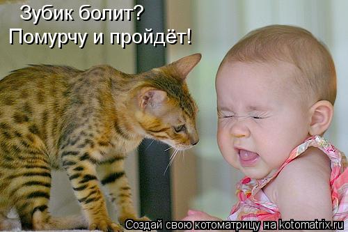 Зубик болит? Помурчу и пройдёт!... Котоматрица: Зубик болит? Помурчу и пройдёт!