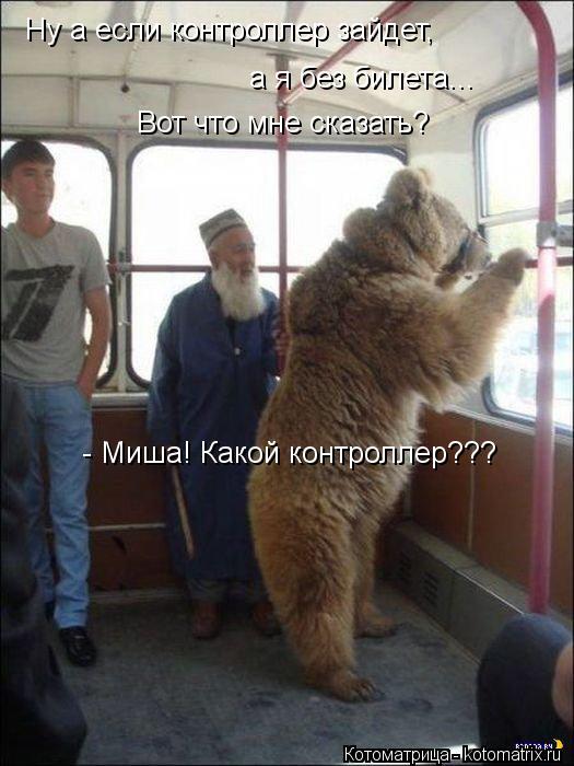 Ну а если контроллер зайдет, а я без билета... Вот что мне сказать? - Миша! Какой контроллер???... Котоматрица: Ну а если контроллер зайдет, а я без билета... Вот что мне сказать? - Миша! Какой контроллер???
