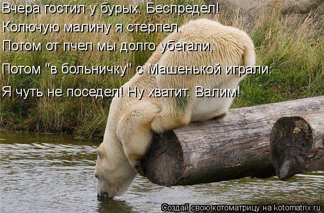 Вчера гостил у бурых. Беспредел! Колючую малину я стерпел. Потом от пчел мы долго убегали, Потом "в б... Котоматрица: Вчера гостил у бурых. Беспредел! Колючую малину я стерпел. Потом от пчел мы долго убегали, Потом "в больничку" с Машенькой играли. Я чуть не по