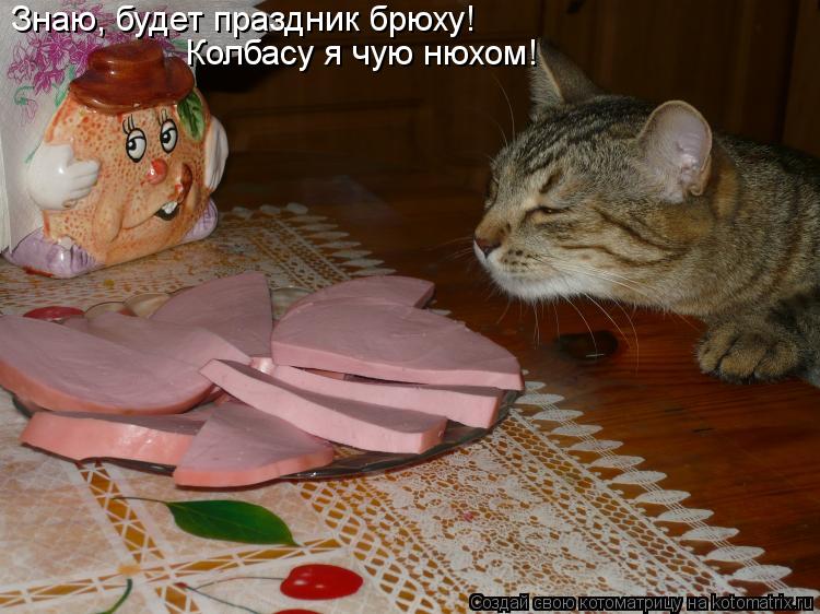 Знаю, будет праздник брюху! Колбасу я чую нюхом!... Котоматрица: Знаю, будет праздник брюху! Колбасу я чую нюхом!