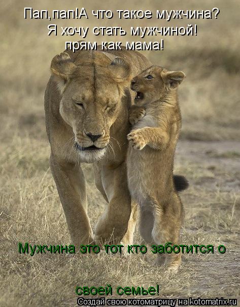 Котоматрица: Пап,пап!А что такое мужчина? Мужчина это тот кто заботится о  своей семье! Я хочу стать мужчиной! прям как мама!