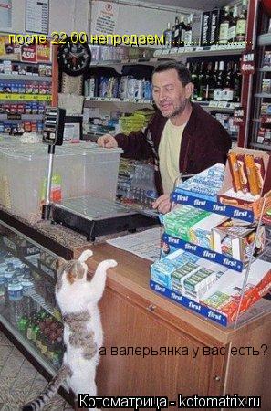 а валерьянка у вас есть? после 22,00 непродаем........................... Котоматрица: а валерьянка у вас есть? после 22,00 непродаем........................