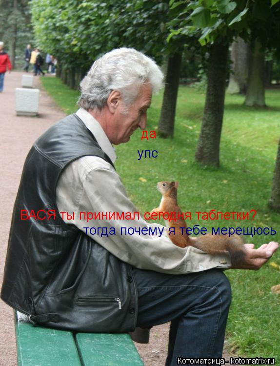 Котоматрица: ВАСЯ ты принимал сегодня таблетки? да тогда почему я тебе мерещюсь упс