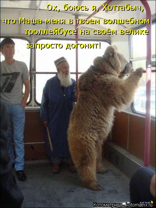 Ох, боюсь я, Хоттабыч, что Маша меня в твоем волшебном троллейбусе на своём велике запросто догонит... Котоматрица: Ох, боюсь я, Хоттабыч, что Маша меня в твоем волшебном троллейбусе на своём велике запросто догонит!