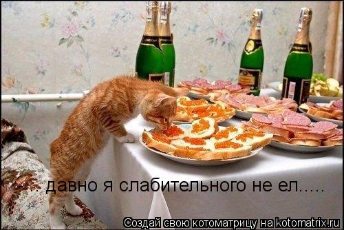- .. давно я слабительного не ел........ Котоматрица: - .. давно я слабительного не ел.....