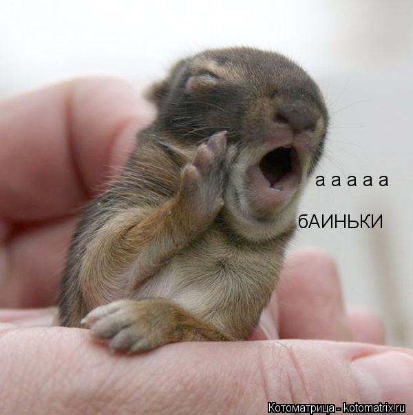 а а а а а бАИНЬКИ... Котоматрица: а а а а а бАИНЬКИ