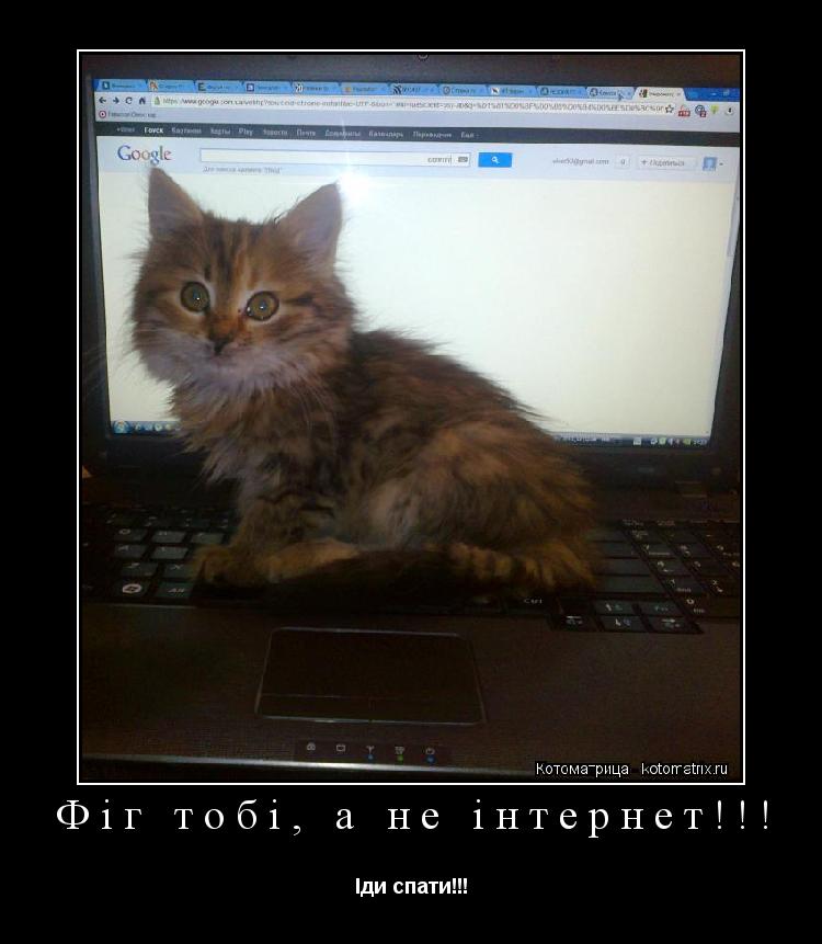 Фіг тобі, а не інтернет!!! Іди cпати!!!... Котоматрица: Фіг тобі, а не інтернет!!! Іди cпати!!!