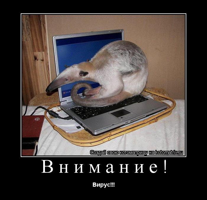Внимание! Вирус!!!... Котоматрица: Внимание! Вирус!!!