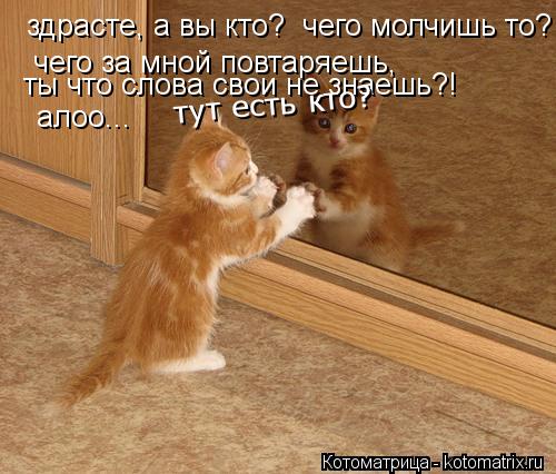 здрасте, а вы кто? чего молчишь то? чего за мной повтаряешь, ты что слова свои не знаешь?! алоо... ... Котоматрица: здрасте, а вы кто? чего молчишь то? чего за мной повтаряешь, ты что слова свои не знаешь?! алоо... тут есть кто?