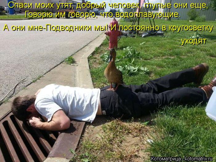 Спаси моих утят, добрый человек, глупые они еще, Говорю им говорю, что водоплавующие. А они мне-Подво... Котоматрица: Спаси моих утят, добрый человек, глупые они еще, Говорю им говорю, что водоплавующие. А они мне-Подводники мы! И постоянно в кругосветку уход