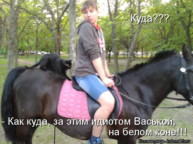- Куда??? - Как куда, за этим идиотом Васькой, на белом коне!!!... Котоматрица: - Куда??? - Как куда, за этим идиотом Васькой, на белом коне!!!