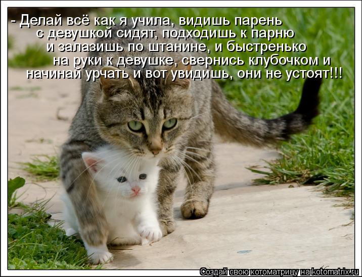 - Делай всё как я учила, видишь парень с девушкой сидят, подходишь к парню и залазишь по штанине, и ... Котоматрица: - Делай всё как я учила, видишь парень с девушкой сидят, подходишь к парню и залазишь по штанине, и быстренько на руки к девушке, свернись кл