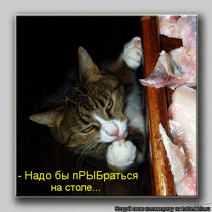 Котоматрица: - Надо бы пРЫБраться  на столе...