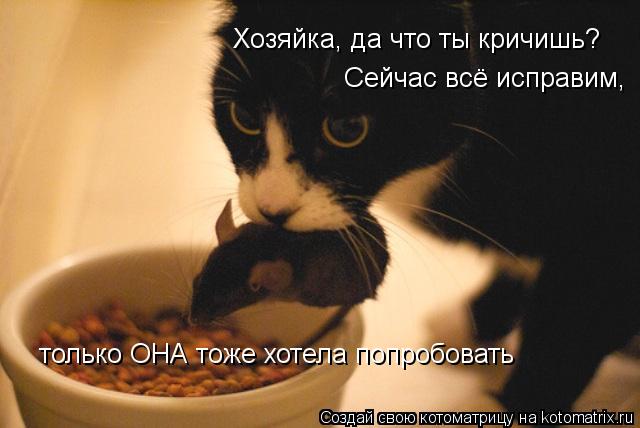 Хозяйка, да что ты кричишь? Сейчас всё исправим, только ОНА тоже хотела попробовать... Котоматрица: Хозяйка, да что ты кричишь? Сейчас всё исправим, только ОНА тоже хотела попробовать