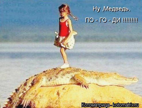 Ну ,Медведь, ПО - ГО - ДИ !!!!!!!!!... Котоматрица: Ну ,Медведь, ПО - ГО - ДИ !!!!!!!!!